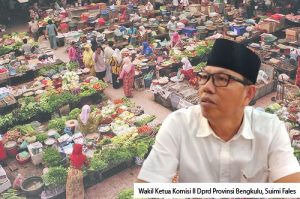 Wakil Ketua Komisi II Dprd Provinsi Bengkulu, Suimi Fales