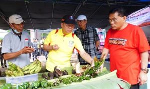 Pemprov Bengkulu Dongkrak Perekonomian Masyarakat Pulau Enggano Melalui Sektor UMKM