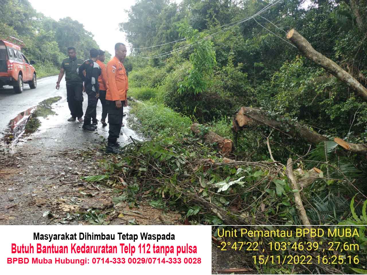 Dampak Cuaca Ekstrim BPBD Muba Evakuasi Pohon Tumbang