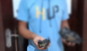 Simpan Narkoba, Warga Sido Mukti Ditangkap Polisi