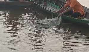 Pergi Mancing Disungai Musi,Korban Sudah Ditemukan Tak Bernyawa
