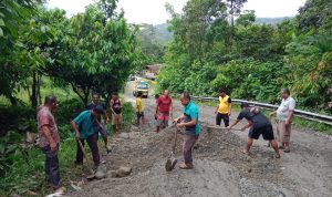 Minimnya Perhatian Pemprov Sumut, Forkopinca  Lolofitu Moi Perbaiki Jalan Provinsi Yang Rusak