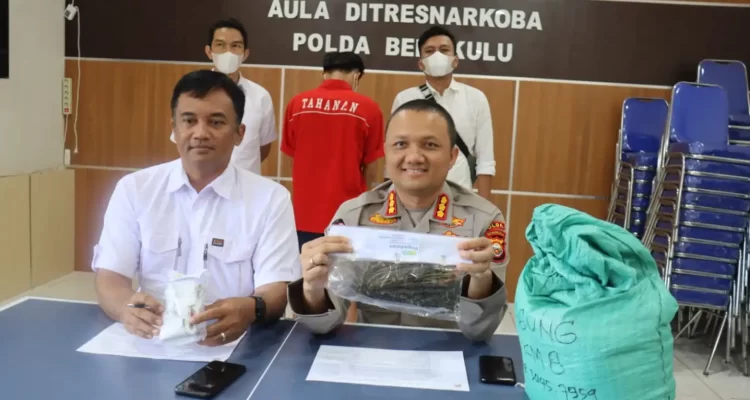 Kirim Paket Ganja Lewat Travel, Pemuda 23 Tahun Ditangkap Ditresnarkoba Polda Bengkulu