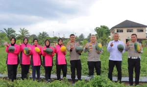 Dukung Program Ketahanan Pangan Polres Bengkulu Selatan Berhasil Panen Semangka