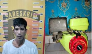 Minggu (26/03/2023) dicokok polisi Polsek lais setelah menghilang hampir tiga bulan