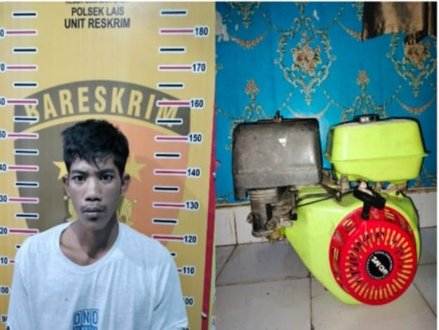 Minggu (26/03/2023) dicokok polisi Polsek lais setelah menghilang hampir tiga bulan