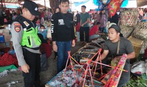 Polsek penukal abab gelar razia petasan...