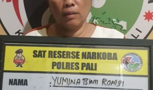Ibu 43 Tahun Diamankan Polisi Diduga Edar Sabu