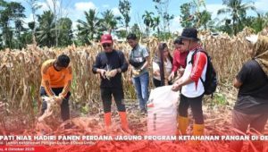 2d7b8f0b-3ea6-4ad0-b446-aabe9273b338