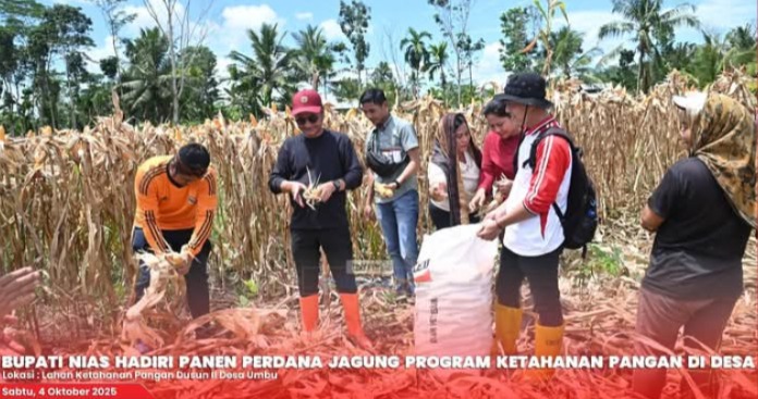 2d7b8f0b-3ea6-4ad0-b446-aabe9273b338