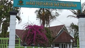 117cfeb8-99ac-4090-bd81-026a2bfb013d