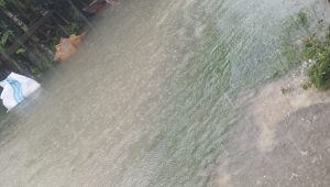 d6258192-b01e-4732-8fa1-b63c4a5af736