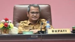 1ab6acf1-3d2d-4f7a-bbc8-7afcfd6049de