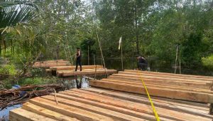 345bf11f-b186-4795-8559-c3098cd7ac66_11zon