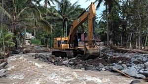 82f4f609-c2d8-443d-9871-54c8af6b5272_11zon