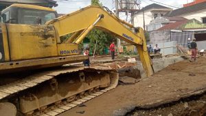 ad657933-9c91-47e5-9a1d-89eca13e8478_11zon